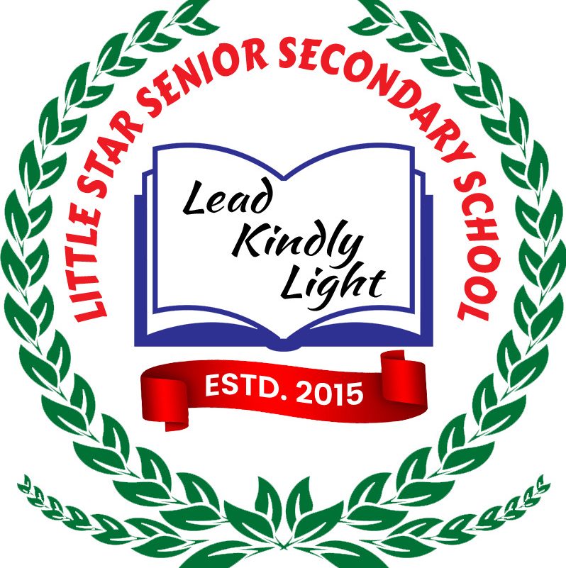 LITTLE STAR SENIOR SECONDARY SCHOOL