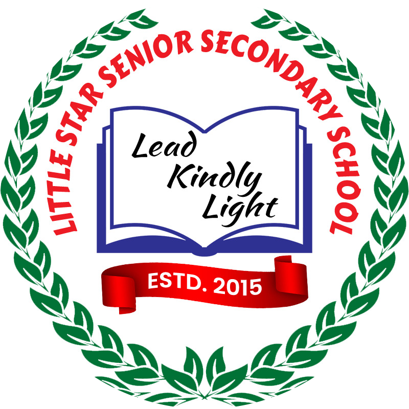 LITTLE STAR SENIOR SECONDARY SCHOOL